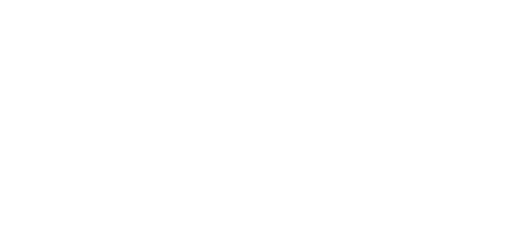 Ajuntament Salt